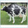 Farm Decoration Outdoor Life Size Resin Cow Statue